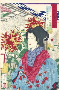 東京自慢十二ヶ月　九月　千駄木の菊/芳年のサムネール
