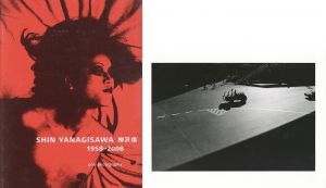 Shin Yanagisawa 1958-2008/柳沢信のサムネール