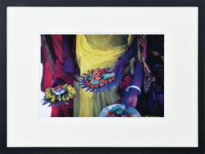 作品/藤原新也のサムネール