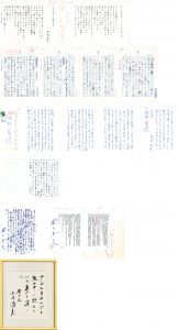 作品一括/清岡卓行/木原孝一/阿部昭/大沢在昌/横山秀夫/小川国夫
のサムネール