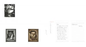 作品一括/杉本一文、島田章三のサムネール
