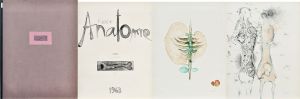 Kleine Anatomie/ポール・ヴンダーリッヒのサムネール