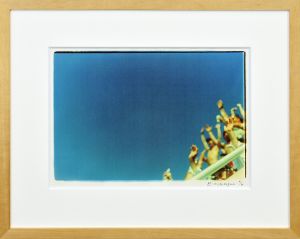 作品/蜷川実花のサムネール