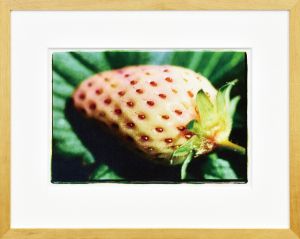 作品/蜷川実花のサムネール
