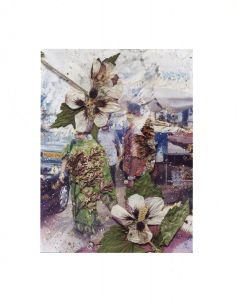 Hockney Flowers/スティーブン・ギルのサムネール