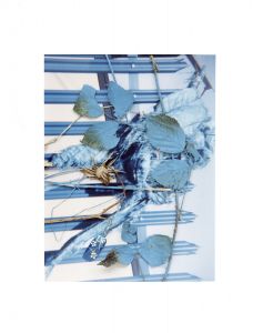 Hockney Flowers Work Print/スティーブン・ギルのサムネール