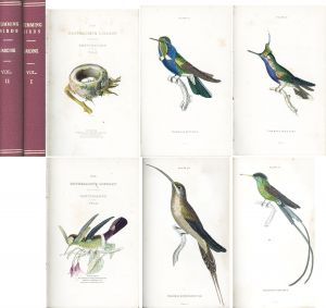 The Naturalist's Library: Humming birds/のサムネール