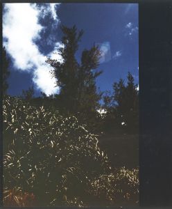 <br />
<b>Warning</b>:  Undefined variable $alt_text in <b>/home/natsume/tokyo-culture-auction.com/public_html/catalog/list_inc.php</b> on line <b>184</b><br />
