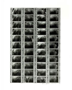 <br />
<b>Warning</b>:  Undefined variable $alt_text in <b>/home/natsume/tokyo-culture-auction.com/public_html/catalog/list_inc.php</b> on line <b>184</b><br />
