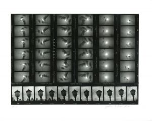 <br />
<b>Warning</b>:  Undefined variable $alt_text in <b>/home/natsume/tokyo-culture-auction.com/public_html/catalog/list_inc.php</b> on line <b>184</b><br />
