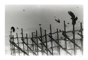 <br />
<b>Warning</b>:  Undefined variable $alt_text in <b>/home/natsume/tokyo-culture-auction.com/public_html/catalog/list_inc.php</b> on line <b>184</b><br />
