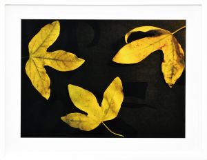 <br />
<b>Warning</b>:  Undefined variable $alt_text in <b>/home/natsume/tokyo-culture-auction.com/public_html/catalog/list_inc.php</b> on line <b>184</b><br />
