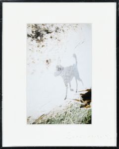 <br />
<b>Warning</b>:  Undefined variable $alt_text in <b>/home/natsume/tokyo-culture-auction.com/public_html/catalog/list_inc.php</b> on line <b>184</b><br />
