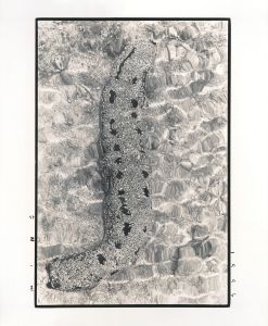 <br />
<b>Warning</b>:  Undefined variable $alt_text in <b>/home/natsume/tokyo-culture-auction.com/public_html/catalog/list_inc.php</b> on line <b>184</b><br />
