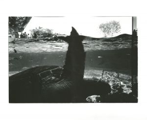 <br />
<b>Warning</b>:  Undefined variable $alt_text in <b>/home/natsume/tokyo-culture-auction.com/public_html/catalog/list_inc.php</b> on line <b>184</b><br />
