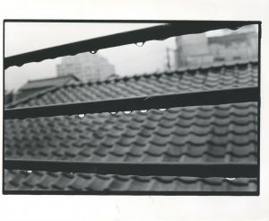 <br />
<b>Warning</b>:  Undefined variable $alt_text in <b>/home/natsume/tokyo-culture-auction.com/public_html/catalog/list_inc.php</b> on line <b>184</b><br />
