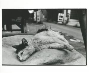 <br />
<b>Warning</b>:  Undefined variable $alt_text in <b>/home/natsume/tokyo-culture-auction.com/public_html/catalog/list_inc.php</b> on line <b>184</b><br />
