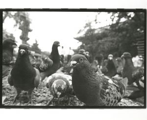 <br />
<b>Warning</b>:  Undefined variable $alt_text in <b>/home/natsume/tokyo-culture-auction.com/public_html/catalog/list_inc.php</b> on line <b>184</b><br />
