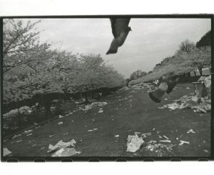 <br />
<b>Warning</b>:  Undefined variable $alt_text in <b>/home/natsume/tokyo-culture-auction.com/public_html/catalog/list_inc.php</b> on line <b>184</b><br />
