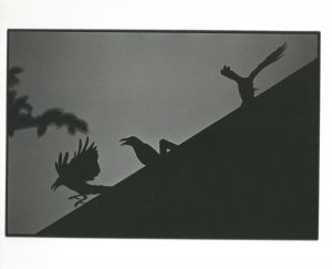 <br />
<b>Warning</b>:  Undefined variable $alt_text in <b>/home/natsume/tokyo-culture-auction.com/public_html/catalog/list_inc.php</b> on line <b>184</b><br />
