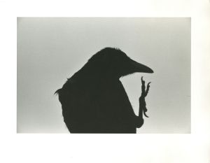 <br />
<b>Warning</b>:  Undefined variable $alt_text in <b>/home/natsume/tokyo-culture-auction.com/public_html/catalog/list_inc.php</b> on line <b>184</b><br />
