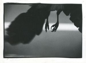 <br />
<b>Warning</b>:  Undefined variable $alt_text in <b>/home/natsume/tokyo-culture-auction.com/public_html/catalog/list_inc.php</b> on line <b>184</b><br />
