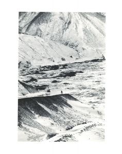 龍飛①　1967
