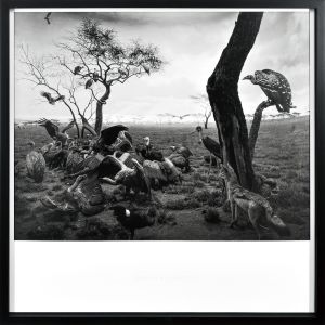 Hyena-Jackal-Vulture