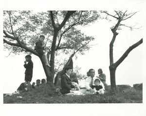 大坂城　1954