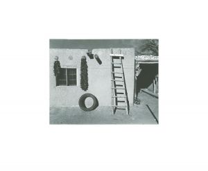 作品
